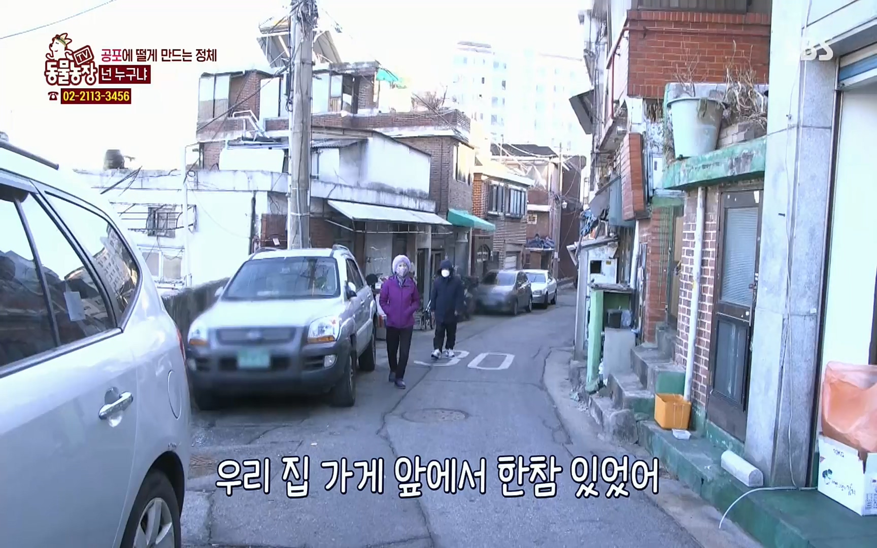 TV 동물농장.E1062.220327p.H264-F1RST.mp4_20220327_174428.813.jpg