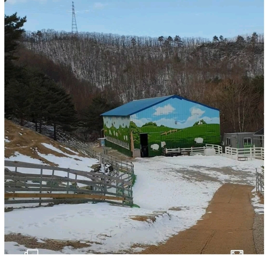 홍대에 있는 양카페 근황