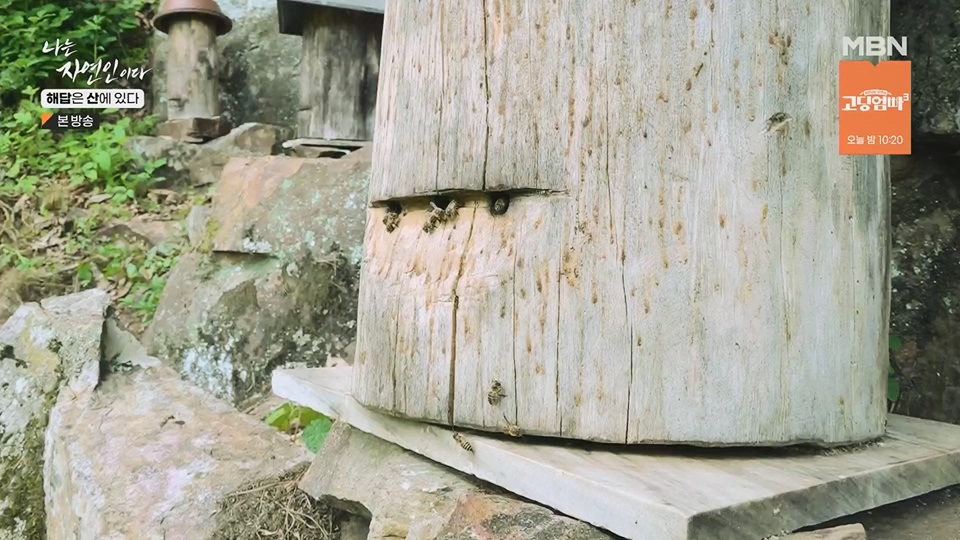 나는 자연인이다.E559.230621p.H264-F1RST.mp4_20230622_204020.293.jpg