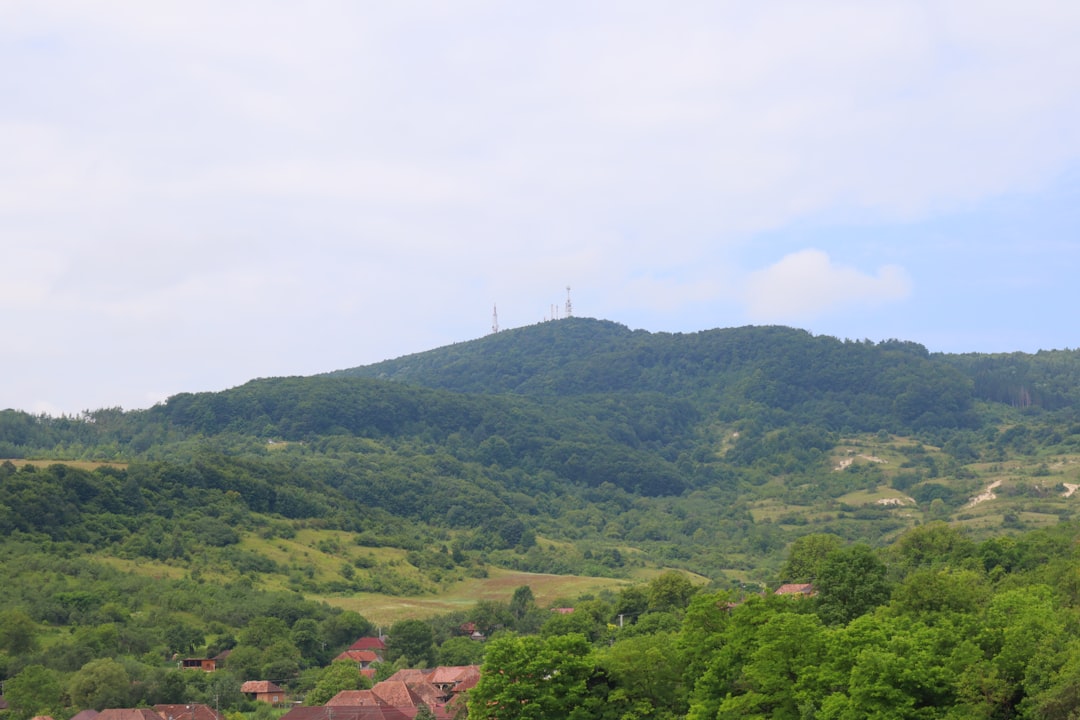 Boramae
