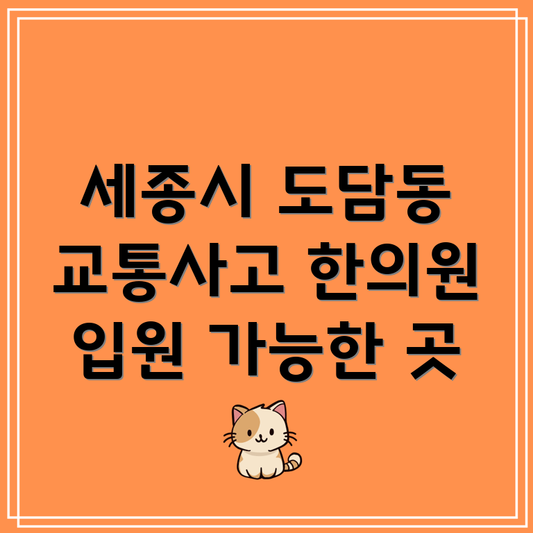 세종시 도담동 교통사고 한의원