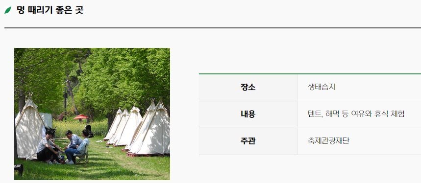 함평 나비 축제