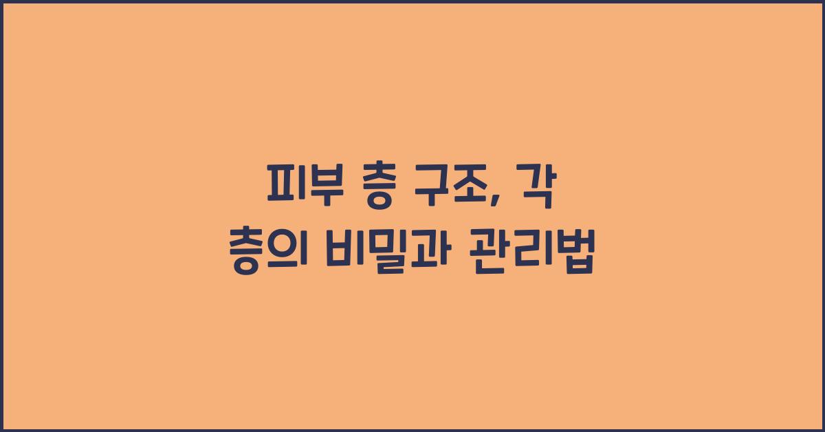 피부 층 구조