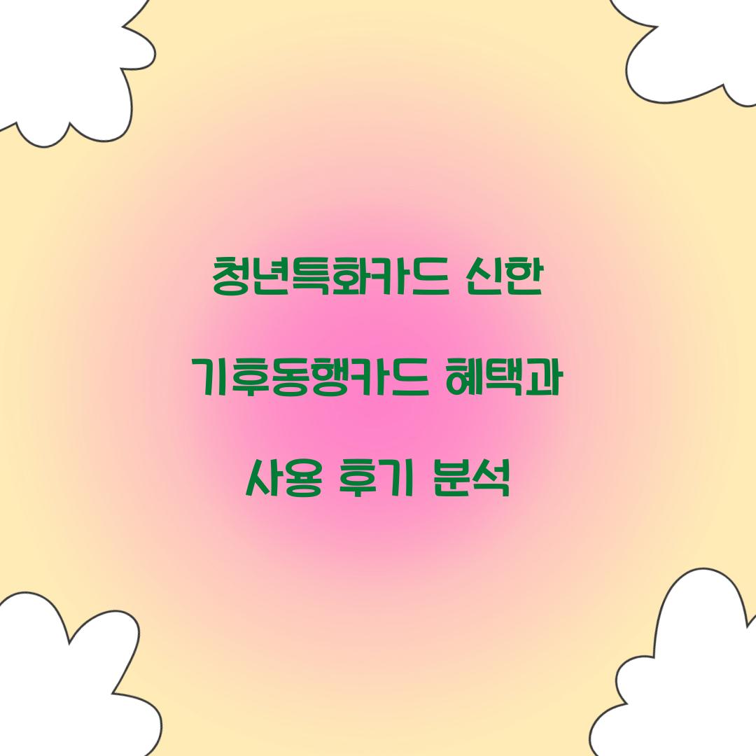 청년특화카드 신한 기후동행카드