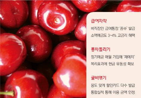 체리 이미지