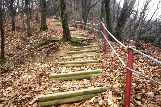 오르막 급경사 통나무계단길&#44; 우측에 두 줄 로프 난간&#44; 난간 기둥은 철봉&#44; 붉은 자주색 페인팅&#44; 숲속에 긁은 나무들&#44;