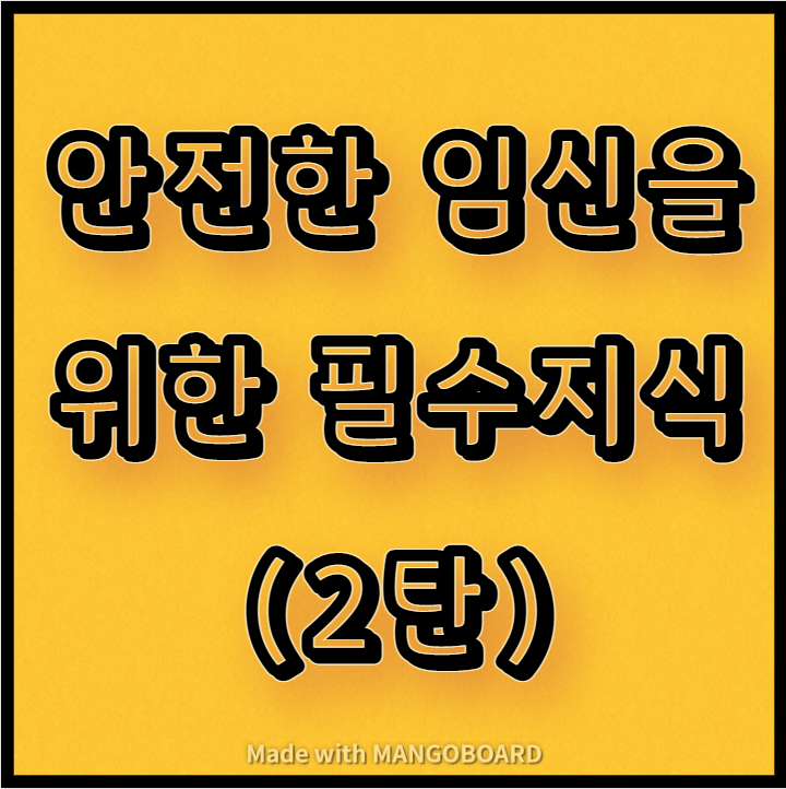  안전한 임신을 위한 필수지식(2탄)
