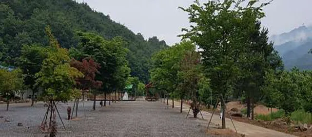 속리산사계절캠핑장