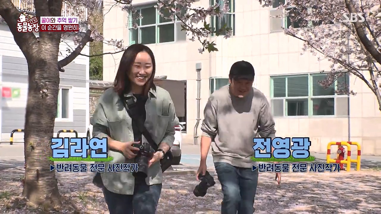 TV 동물농장.E1174.240603p-NEXT.mp4_20240602_154458.296.jpg