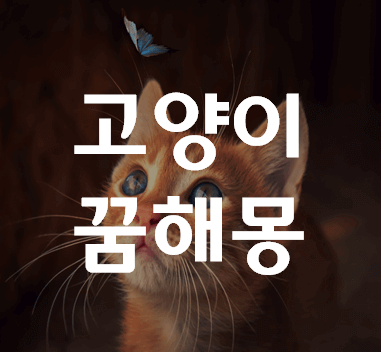 고양이-꿈-