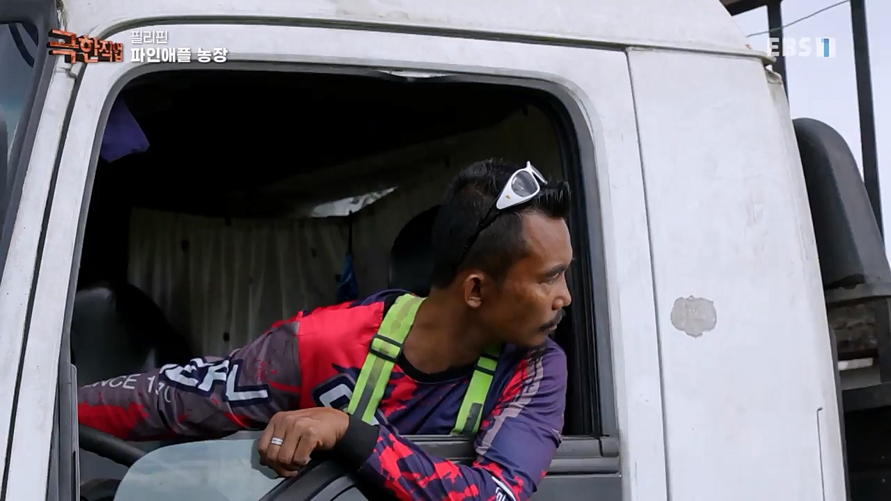 TV - 교육의 중심 EBS필리핀 바나나, 파인애플 농장.mp4_20230302_202906.496.jpg