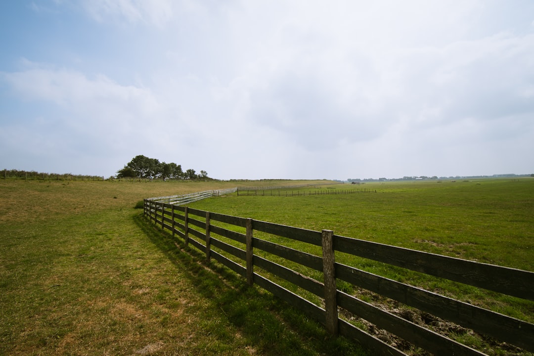 'Pasture'