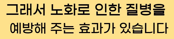  그래서 노화로 인한 질병을 예방해 주는 효과가 있습니다