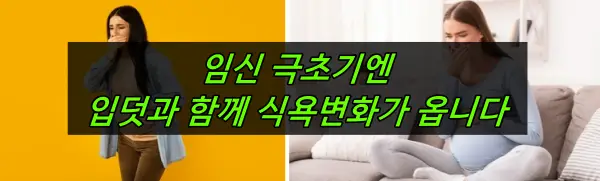 임신극초기증상 입덧