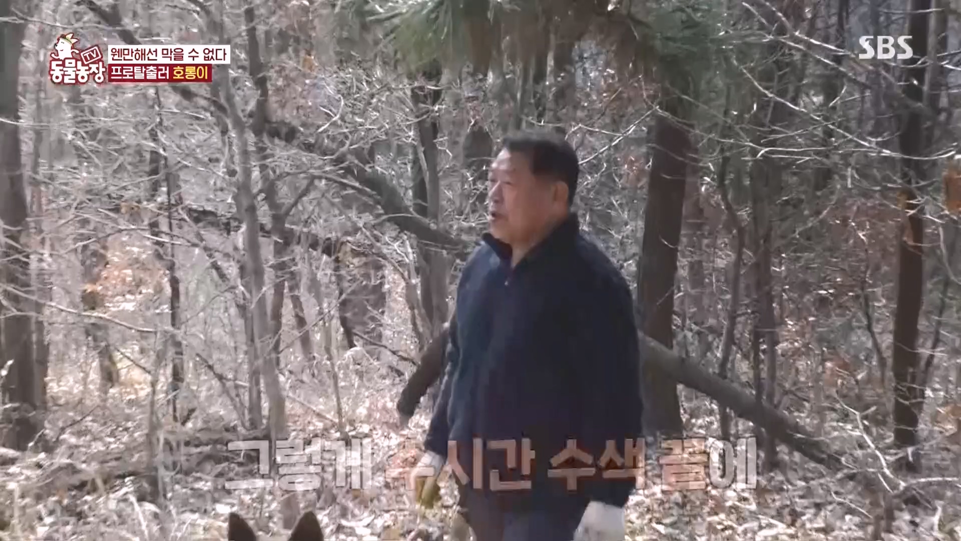 TV 동물농장.E1160.240225p.H264-F1RST.mp4_20240225_165133.919.jpg