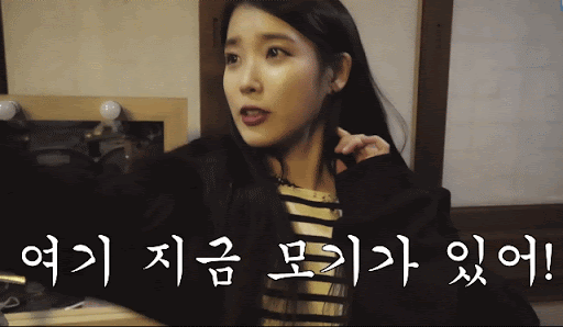  산골에 사는 여자가 올리는 해충 퇴치기 리뷰