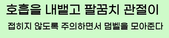  3. 호흡을 내뱉고, 팔꿈치 관절이 접히지 않도록 주의하면서 덤벨을 모아준다.
