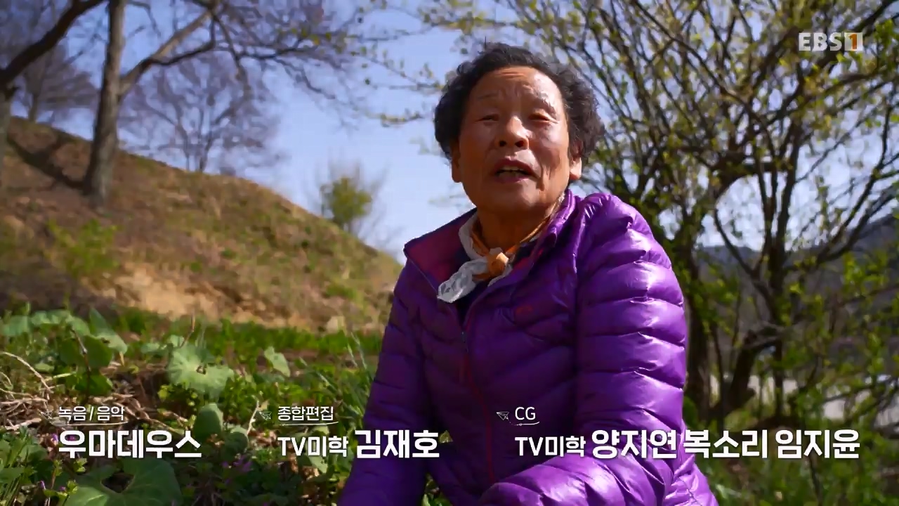 세상의모든기행함양, 봄나물 따라 함양 오일장으로.mp4_20230523_210849.557.jpg