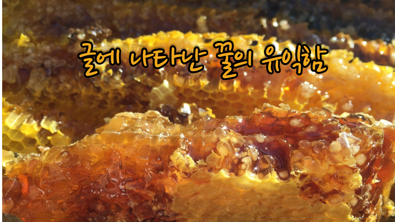  글에 나타난 꿀의 유익함