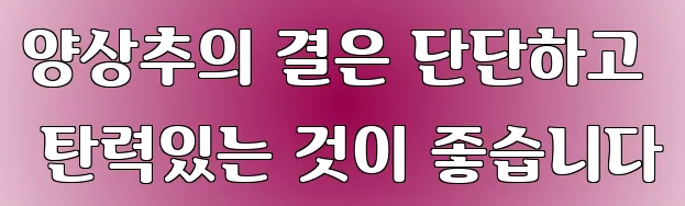 양상추의 결은 단단하고 탄력있는 것이 좋습니다