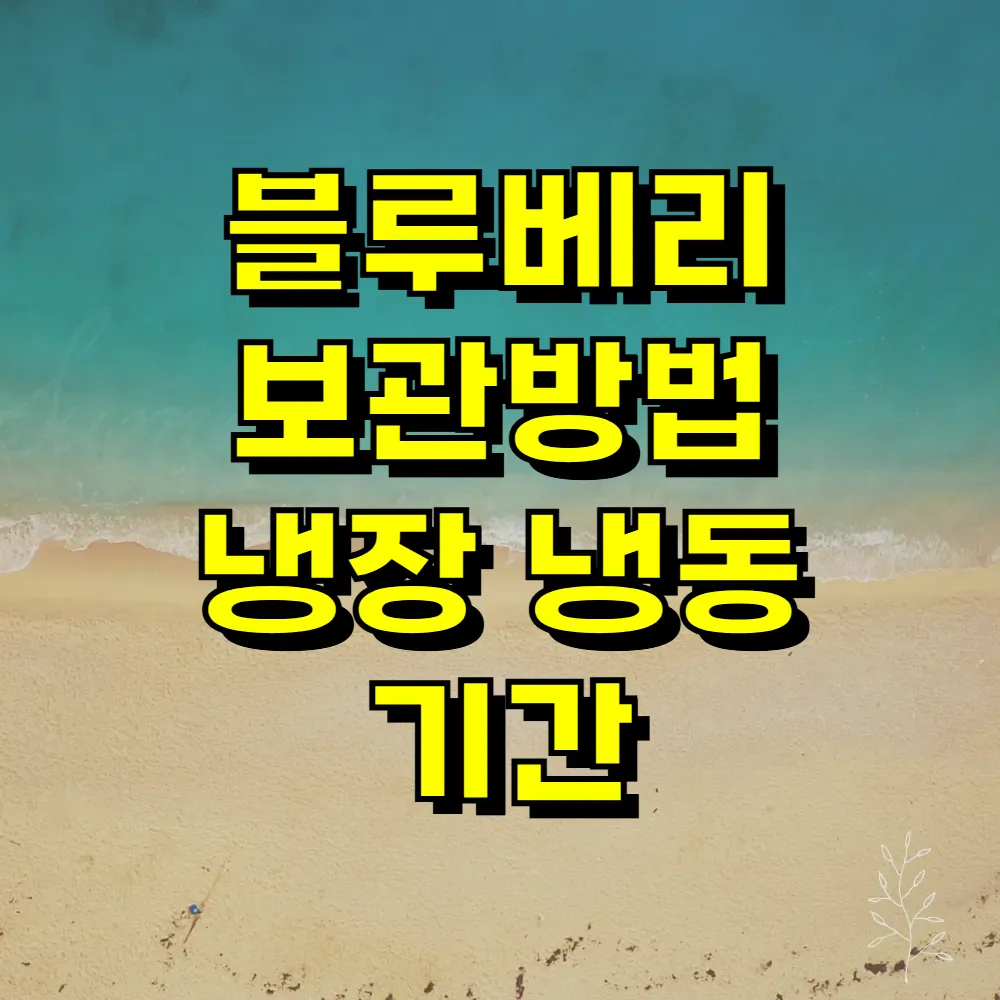 블루베리 보관방법 냉장 냉동 기간