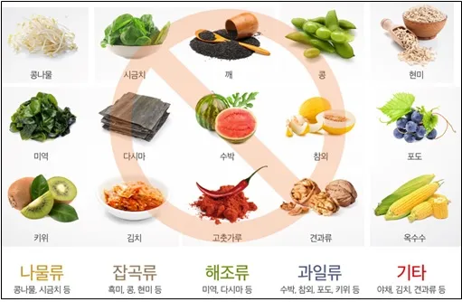 대장내시경 당일식사 주의사항 피해야 하는 음식_5