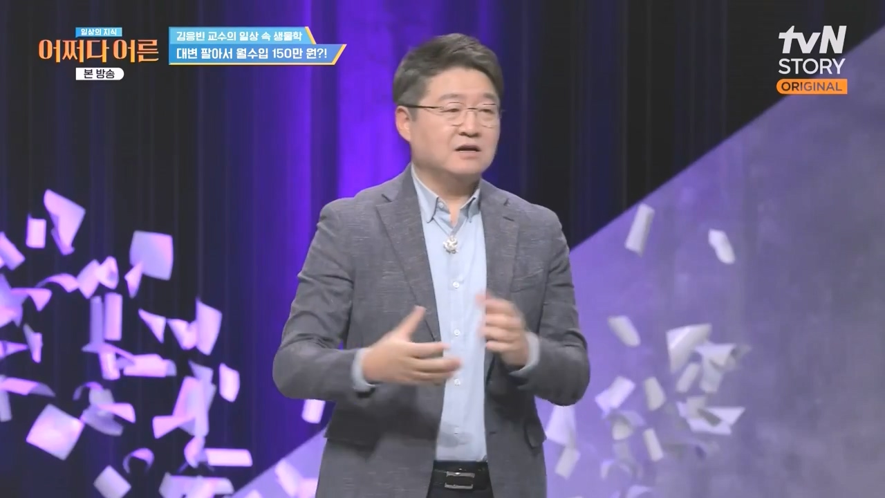 어쩌다 어른.E51.240410p-NEXT.mp4_20240410_170621.068.jpg