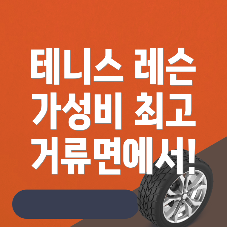 테니스 레슨 비용