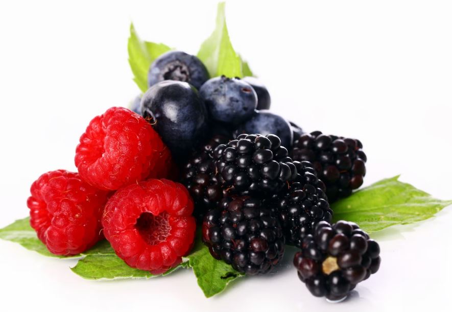 신장에 좋은 음식 요약 3