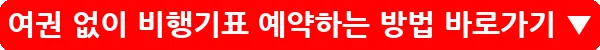 여권 없이 비행기표 예약하는 방법_8
