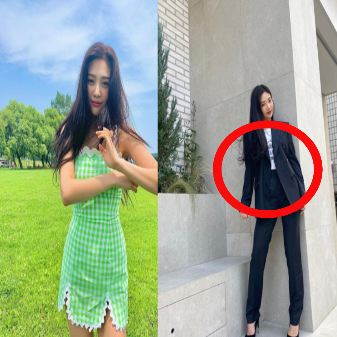 조이 페미 논란 불러온 티셔츠 문구(+사진 인스타) : 네이버 블로그