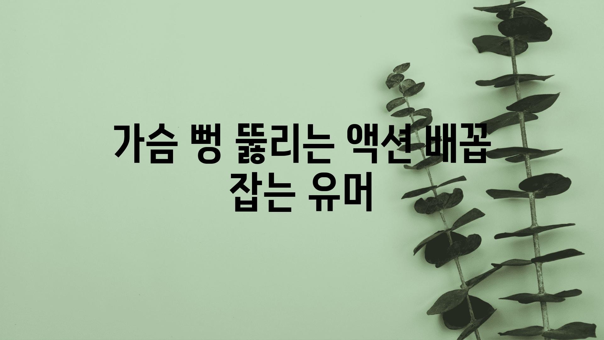 가슴 뻥 뚫리는 액션 배꼽 잡는 유머