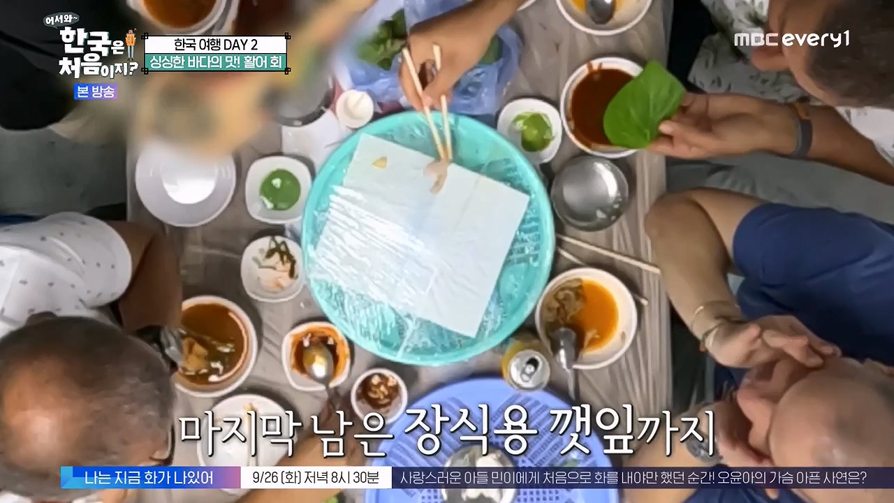 어서와 한국은 처음이지 시즌2.E281.230922p-NEXT.mp4_20230923_174714.567.jpg