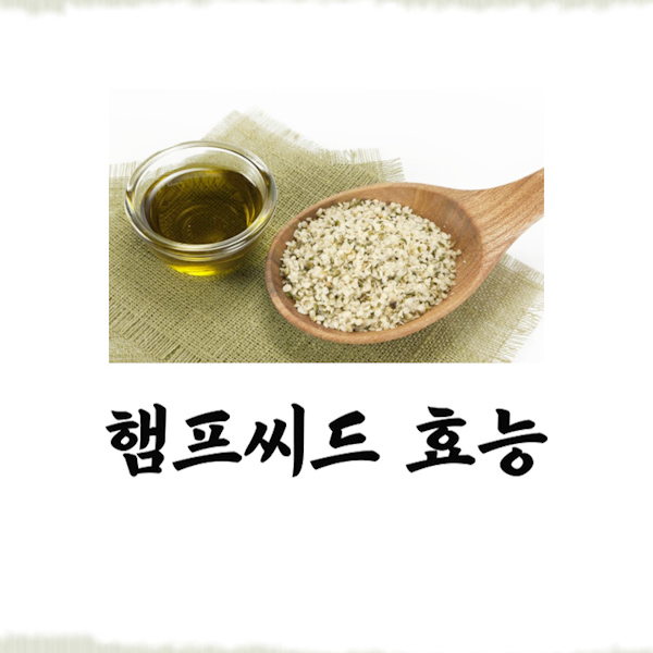  햄프씨드 효능 먹는법 부작용 정확한정보 보고가세요