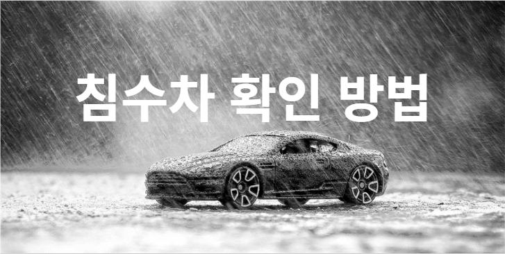  침수차 확인하는 방법 쉬워요.