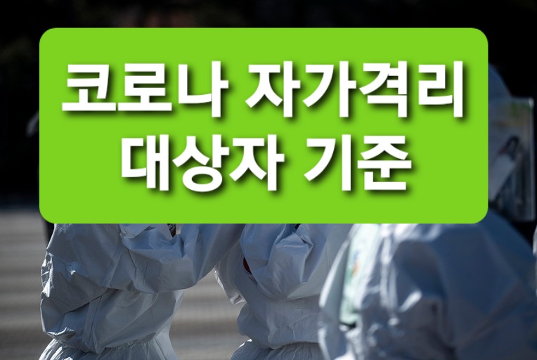 역학조사 장면 사진