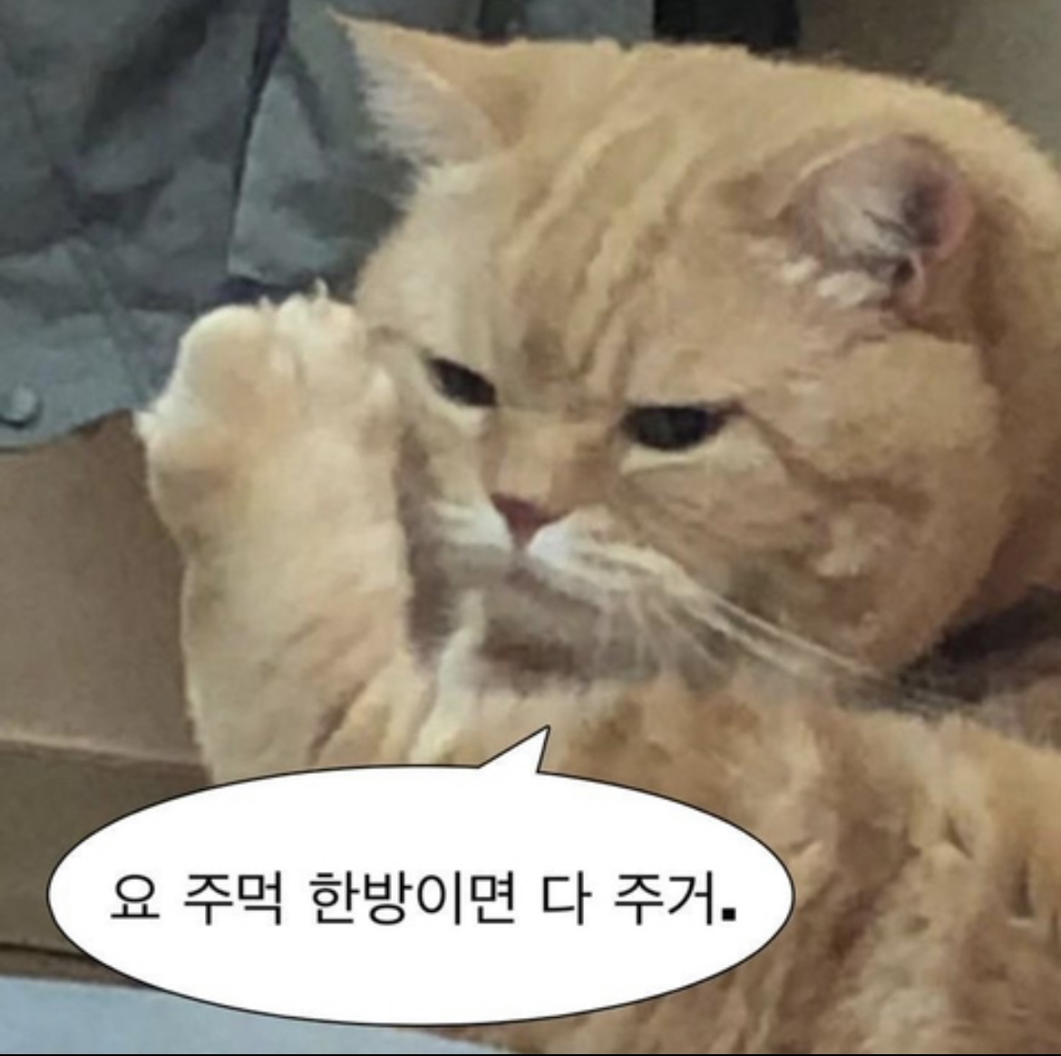  공격력 만렙일 때 들으면 더 세지는 케이팝