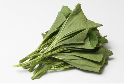  아욱국 끓이는법 :: 끓이는 방법 5분 컷
