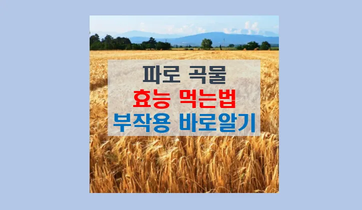 파로 곡물 효능과 부작용 먹는 법