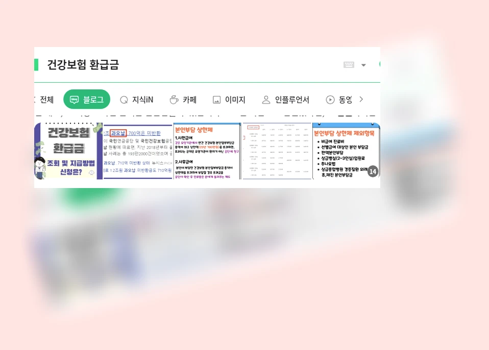 건강보험 환급금_1_subsection