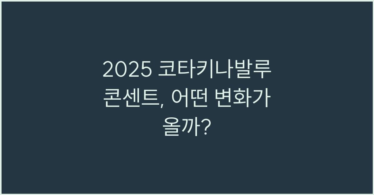 2025 코타키나발루 콘센트