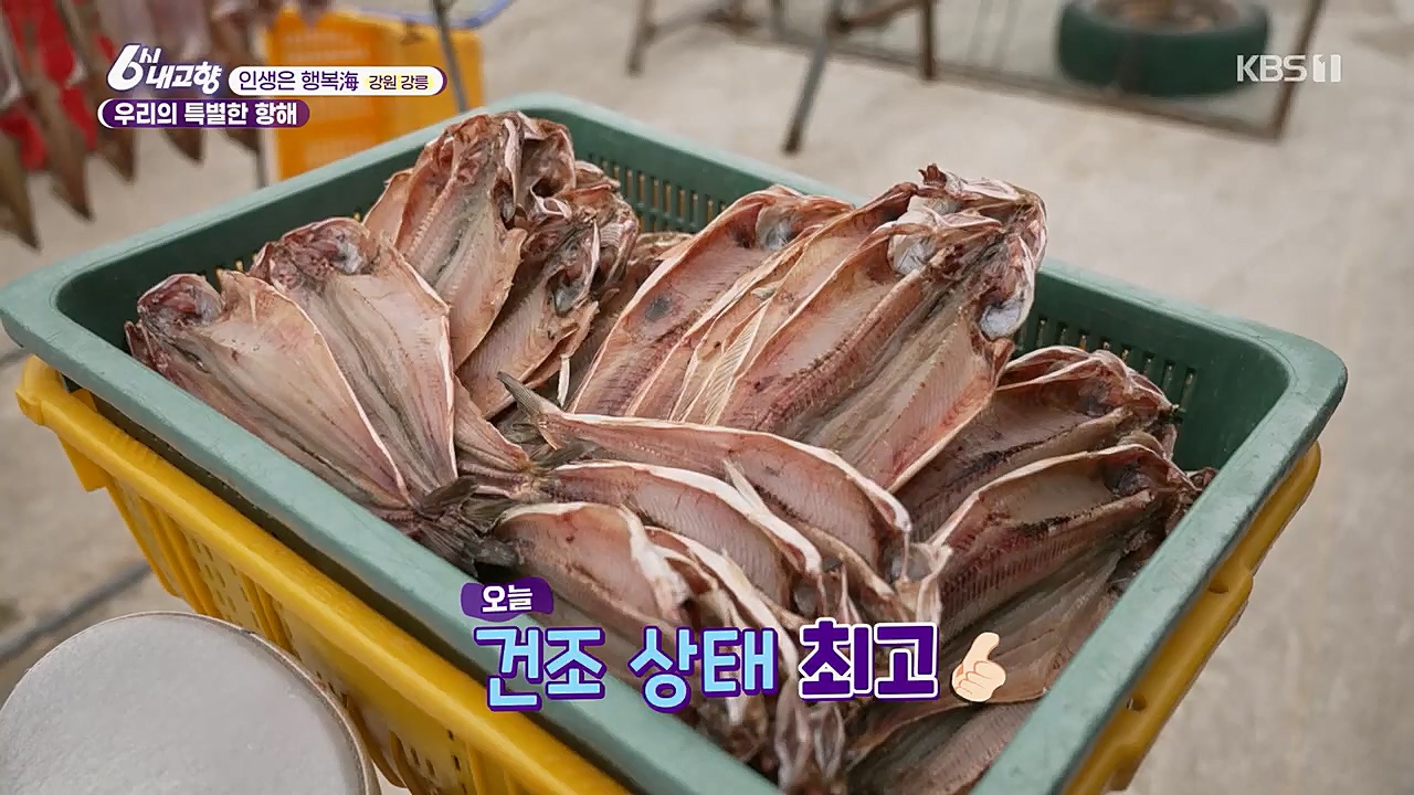 6시 내고향.E7748.230321p.H264-F1RST.mp4_20230321_202134.634.jpg