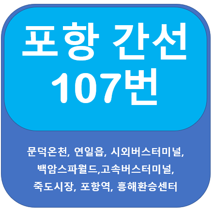  포항 107번 버스 노선, 문덕, 시외터미널 ↔ 죽도시장, 흥해