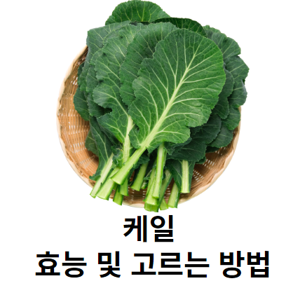 케일 효능 및 고르는 방법