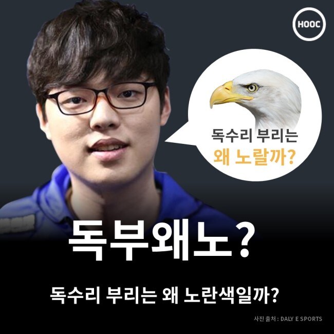 독수리 부리는 왜 노랄까?
HOOC
독부왜노?
독수리 부리는 왜 노란색일까?