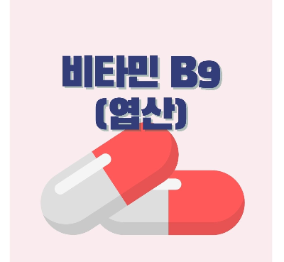 비타민B9-사진