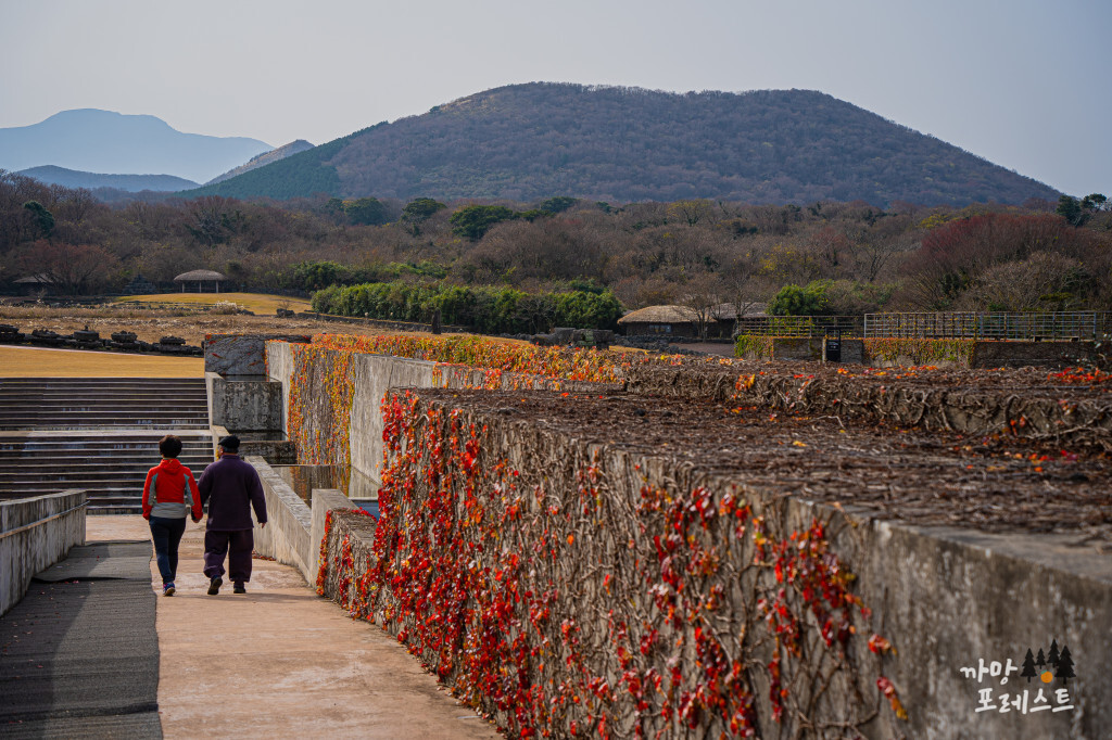 제주 돌문화공원 산책