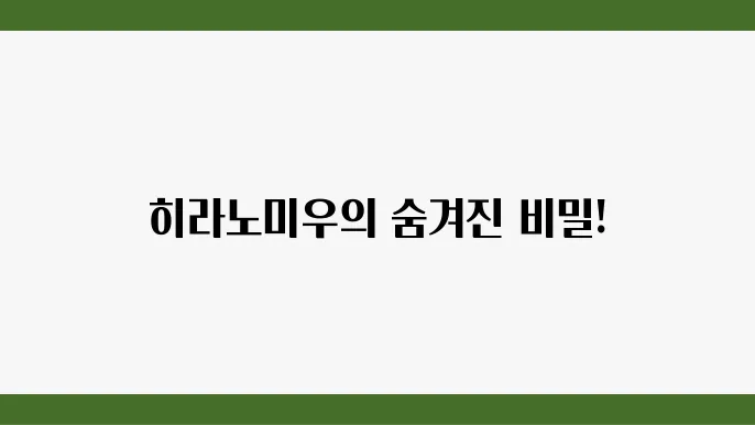 히라노미우 랭킹 정보