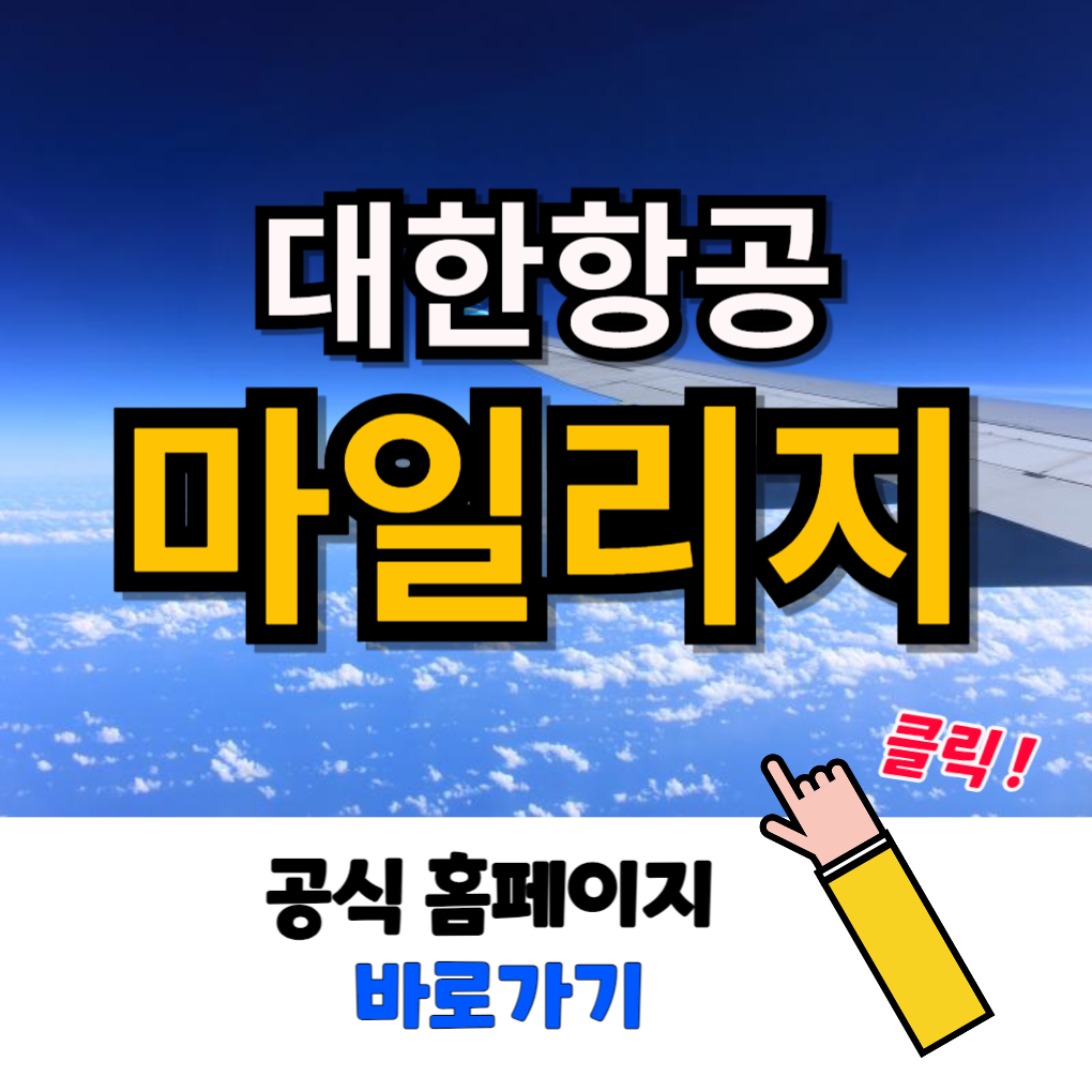대한항공 마일리지 사용방법