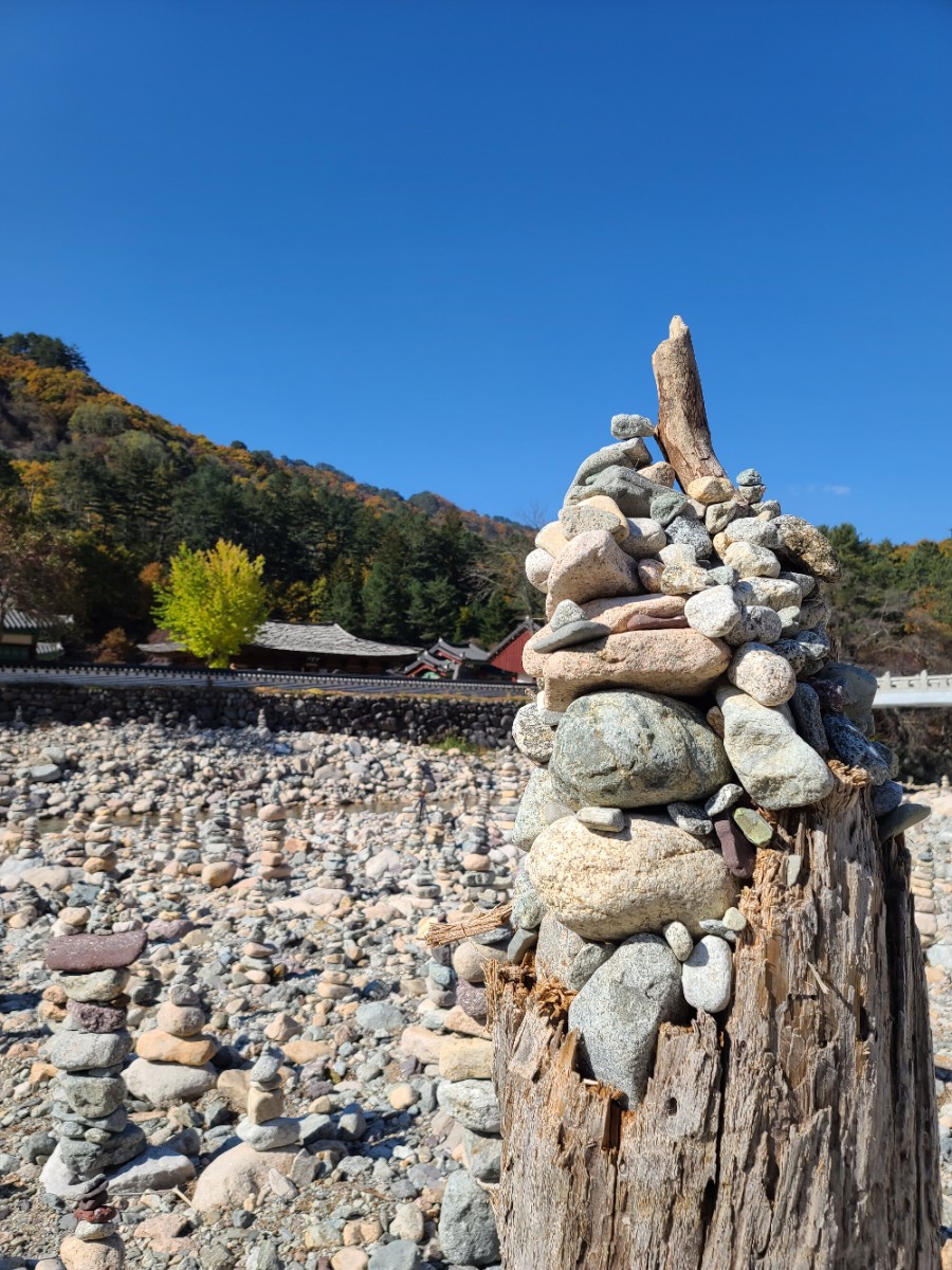 백담사 단풍 멋지다 ( 셔틀버스안내 ) 강원도 인제 여행 / 설악산 19
